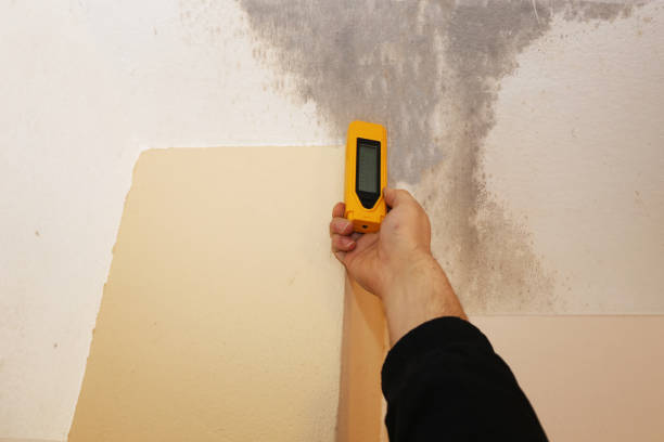 Best Dehumidification Services  in Navajo, NM