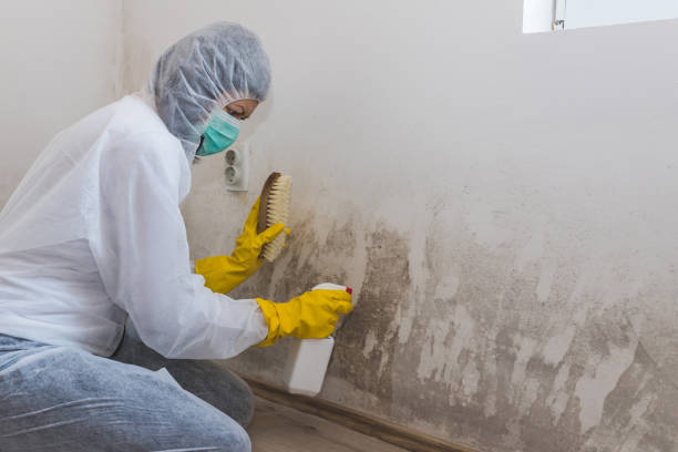 Best Post-Remediation Verification Testing  in Navajo, NM