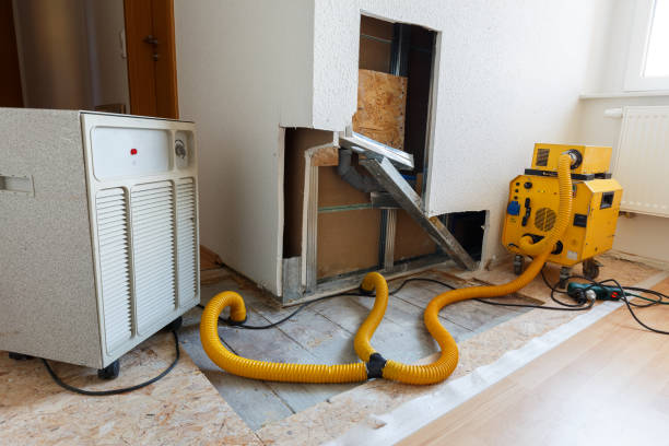 Best Asbestos and Lead Testing During Mold Inspection  in Navajo, NM