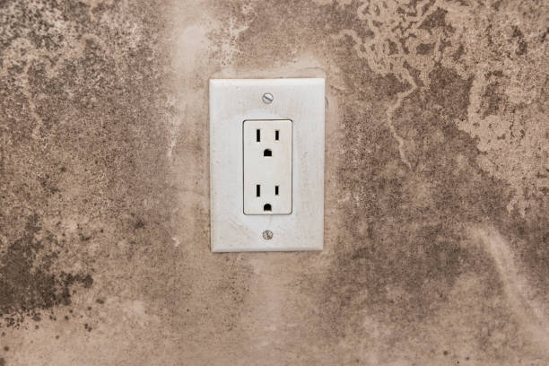 Best Emergency Mold Remediation  in Navajo, NM