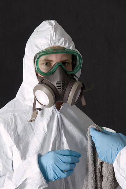 Best Mold Prevention Services  in Navajo, NM
